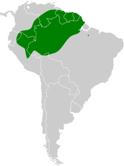Distribución geográfica del bienteveo guayanés.