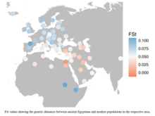 FST values showing the genetic distances of HVR-1 (mtDNA) between 90 ancient Egyptians and modern populations. Blue values depict higher genetic distances, red values depict lower genetic distances between the ancient Egyptian population and modern populations in the respective area.[11]