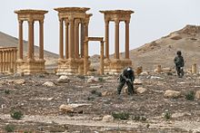 Russian sappers conducting demining operations in areas captured by Syrian government forces during the March 2016 Palmyra offensive against IS. (Photo released by Russian Defence Ministry) International Mine Action Center in Syria (2016-04-07) 10.jpg