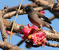 In Pune, Maharashtra, India.