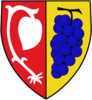 Coat of arms of Klešice
