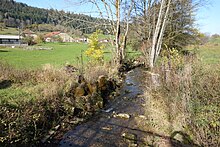 L'Angillon près de sa source aux Nans.