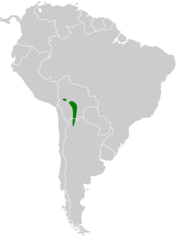 Distribución geográfica del soldadito gris.