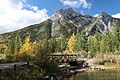 From Lorette Ponds