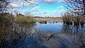 Moorsee westlich des Grenzweges