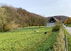 Schafweide im Deilbachtal – Schnapp