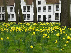 Lista del Patrimonio Mundial. 250px-Narcissen,_Begijnhof,_Brugge