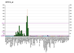 PBB GE GABRA2 207014 at fs.png