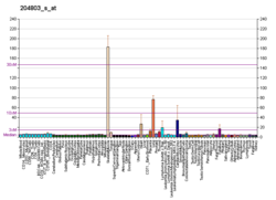 PBB GE RRAD 204803 s в формате fs.png