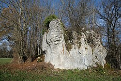 L'un des blocs erratiques de la plaine des Rocailles.