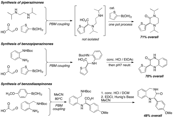 preparation of Piperazinones, benzopiperazinones, and benzodiazepinones via PBM coupling