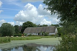 Farm in Ruigeweide