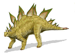 A Stegosaurus stenops rekonstrukciója