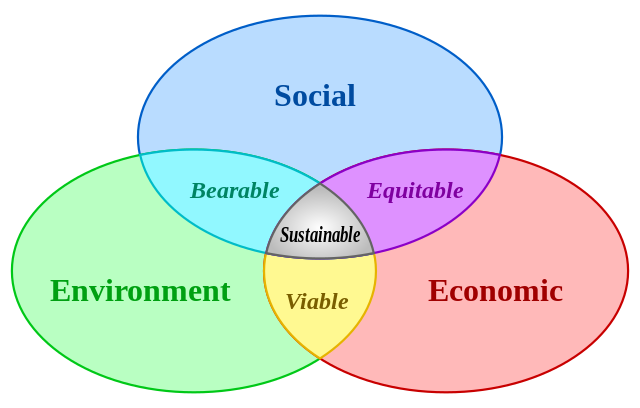 what is social planning definition