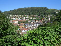 Skyline of Triberg im Schwarzwald