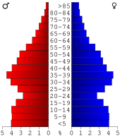 Bevolkingspiramide Walton County