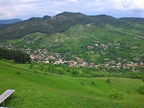 Satul Brăești