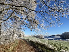 Weg zw. Niederlangenberg u. Elberhausen