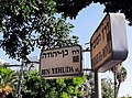 תמונה ממוזערת לגרסה מ־09:56, 24 ביוני 2022