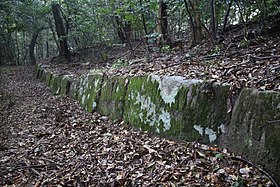 鹿毛馬神籠石