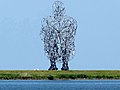 Exposure door Antony Gormley