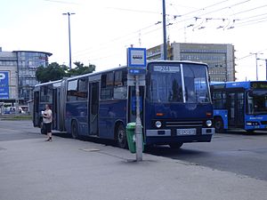 244-es busz