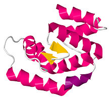 3QME.pdb.jpg