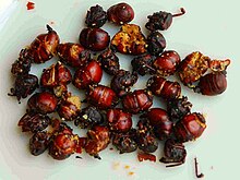 Roasted ants in Colombia Ants For Food SG.jpg