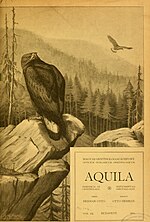 A(z) Aquila (folyóirat) lap bélyegképe