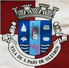 Wappen von São Paio de Oleiros