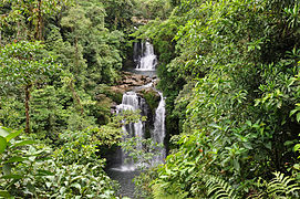 La Catarata Rara Avis se encuentra en el Parque Nacional Braulio Carrillo en el cantón de Sarapiquí