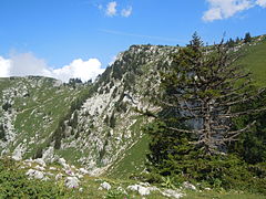 Versant pentu d'une montagne, avec des rochers et de la vététation éparse parmi laquelle des conifères.