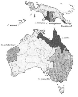 Розповсюдження австралійських зміїношийних черепах