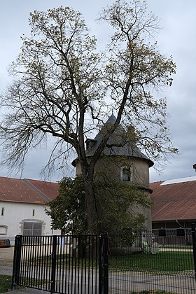 Image illustrative de l’article Château de Brabois