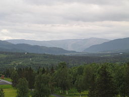 Drevjedalen