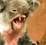 Datoranimerad bild av en drop bear.