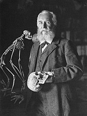 Ernst Haeckel ErnstHaeckel.jpg