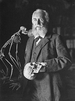 Ernst Haeckel