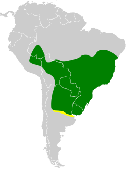 Distribución geográfica de la mascarita sureña.