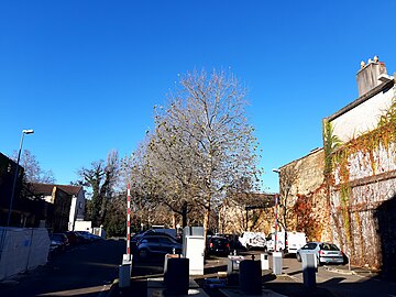 Parking Dulamon, occupant actuellement l'emplacement de l'ancien hôtel Papin