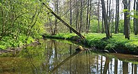 Große Röder zwischen Wallroda und Radeberg