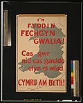 Miniatura per Cymru am byth