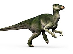 Iguanodon bernissartensis