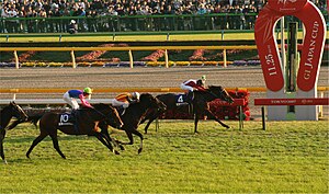 Japan Cup 20071125R1.jpg