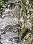 Kalksteinwand im Neandertal