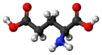 Acidum glutamicum