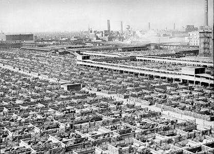 Union Stock Yards, by John Vachon