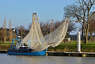 Pibalier à Mortagne-sur-Gironde.