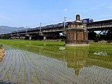 浊水溪南岸的第一代浊水溪桥大型桥墩遗迹。背景为现役第三代浊水溪桥。