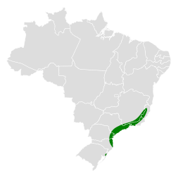 Distribución geográfica de la tangara verdioliva.